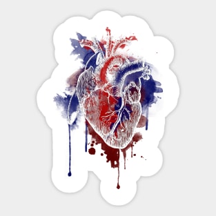 Digital Anatomical Watercolor Heart (White Version) Sticker